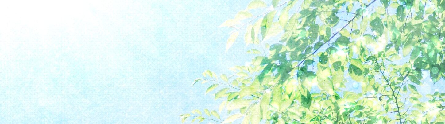 HSP診断結果｜HSPではない方へ・自分らしさを知るヒント